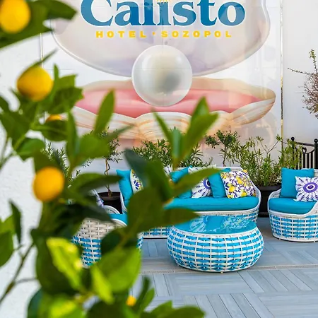 Royal Calisto